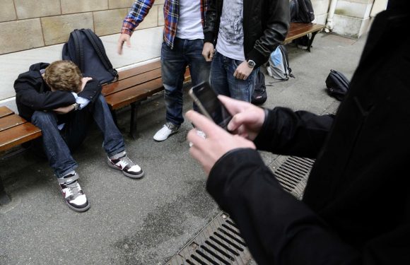 VIDEO. Cyber-harcèlement: Insomnies, angoisses, suicide… Quels sont les risques pour la santé des victimes?