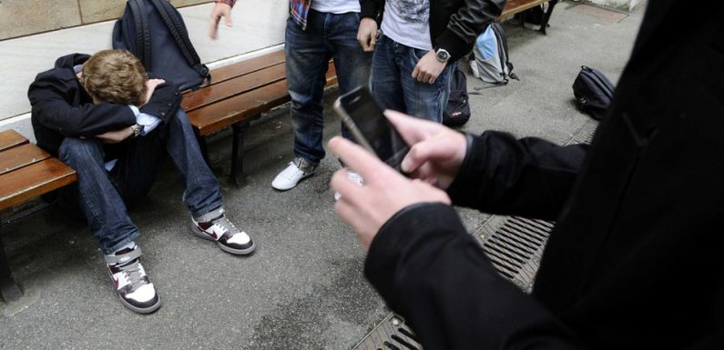 VIDEO. Cyber-harcèlement: Insomnies, angoisses, suicide… Quels sont les risques pour la santé des victimes?