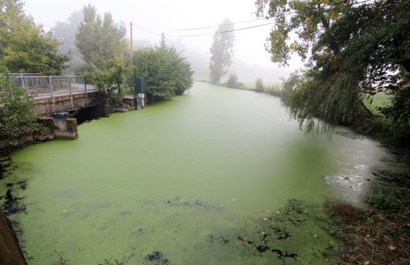 Ille-et-Vilaine: Lactalis bientôt jugé pour la pollution d&rsquo;une rivière bretonne
