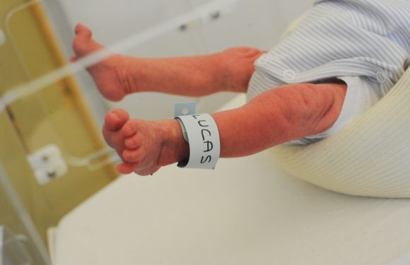 Bébés nés sans bras dans les Bouches du Rhône : « Evidemment qu’on pense à la pollution… »