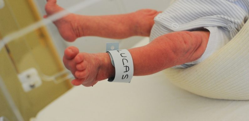 Bébés nés sans bras dans les Bouches du Rhône : « Evidemment qu’on pense à la pollution… »