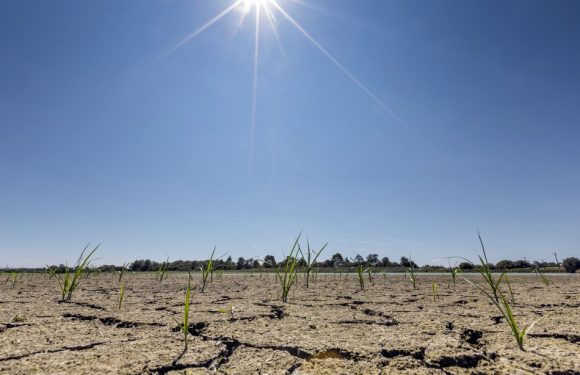 2018 fut la quatrième année la plus chaude depuis 1850