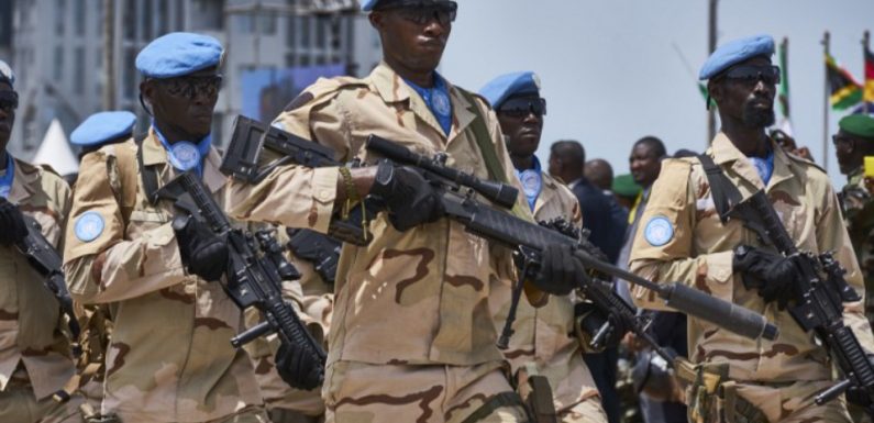 Dix Casques bleus tchadiens tués dans une attaque djihadiste au Mali