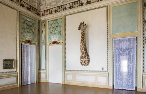 Sophie Calle s&rsquo;expose dans cinq musées de Marseille, une première pour la ville