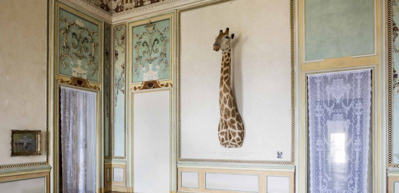 Sophie Calle s’expose dans cinq musées de Marseille, une première pour la ville