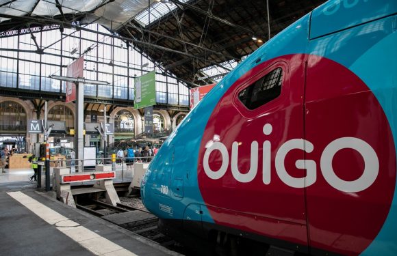 Panne à Montparnasse : «C’est pas avec un texto qu’on règle un problème»… La galère des passagers du Ouigo Bordeaux-Paris…