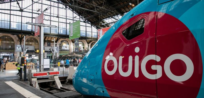 Panne à Montparnasse : «C’est pas avec un texto qu’on règle un problème»… La galère des passagers du Ouigo Bordeaux-Paris…