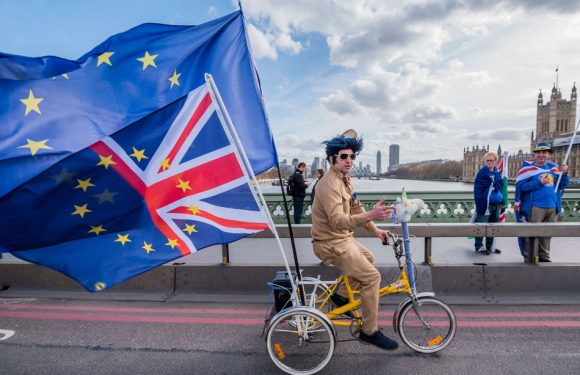 Brexit: Le Royaume-Uni ouvre la procédure pour les Européens souhaitant rester après le divorce