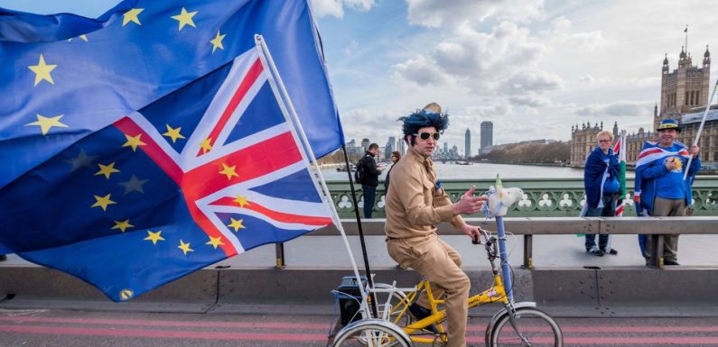 Brexit: Le Royaume-Uni ouvre la procédure pour les Européens souhaitant rester après le divorce