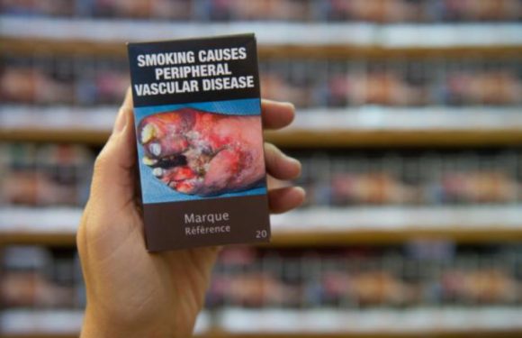 Paquet neutre: Deux fois plus de fumeurs sont gênés à l&rsquo;idée de sortir leurs cigarettes