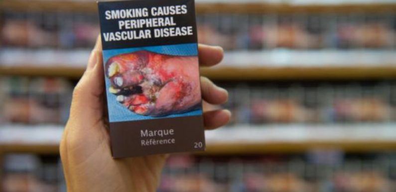 Paquet neutre: Deux fois plus de fumeurs sont gênés à l’idée de sortir leurs cigarettes