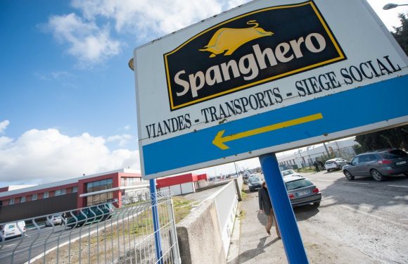 Scandale de la viande de cheval: Qu’est-ce qui a changé pour les consommateurs six ans après?