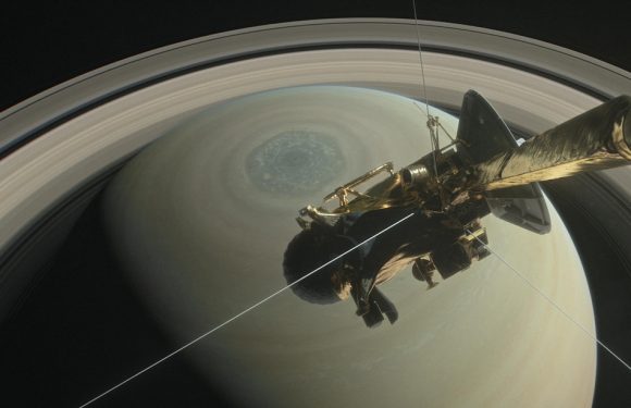 AUDIO. «Minute Papillon!»: Saturne secrète, dossier pour la prime d&rsquo;activité et Seemone