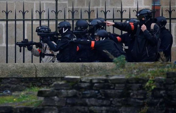 L’usage controversé du lanceur de balles de défense sera étudié par le Conseil d’Etat mercredi