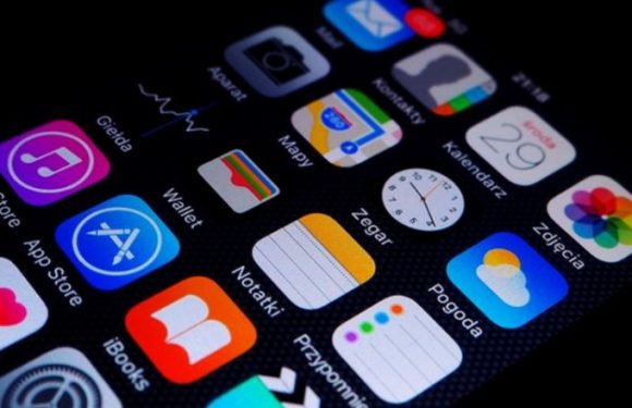 Ces applis dont raffolent les Français