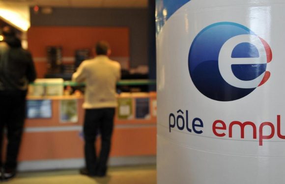Pôle emploi Ces deux mesures passées inaperçues dans le décret durcissant le contrôle des chômeurs