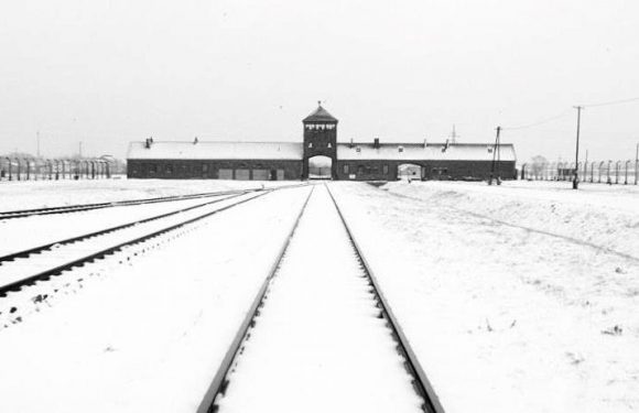 Journée internationale à la mémoire des victimes de la Shoah