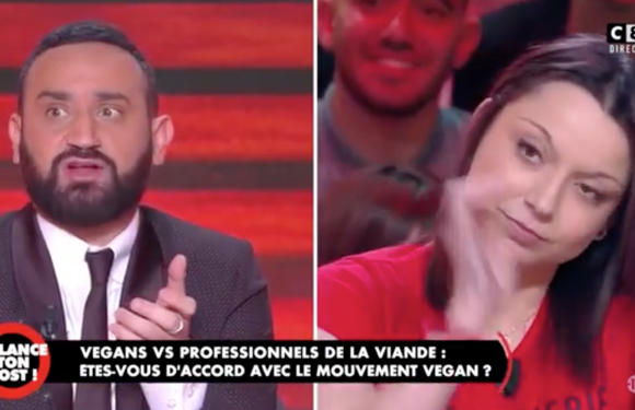 TPMP : Echange surréaliste entre Cyril Hanouna et une militante vegan de l’association « boucherie abolition » (Vidéo)