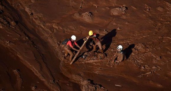 Catastrophe au Brésil : 125 hectares de forêt dévastés