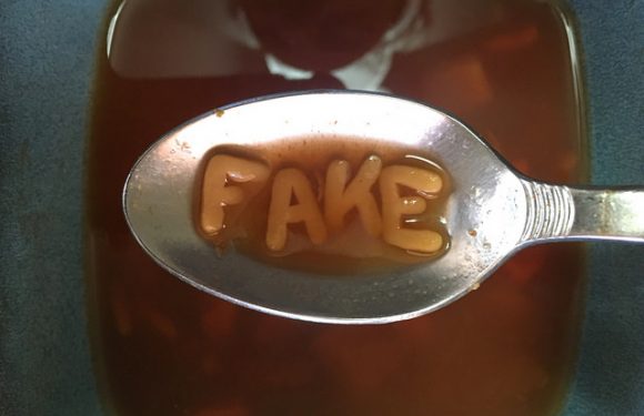 Quelques idées fausses sur les fake news