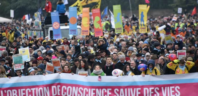 Des milliers de personnes participent à la «marche pour la vie» à Paris