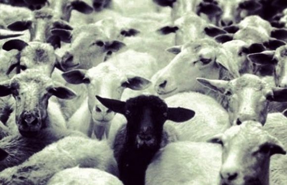 Qu’est-ce que la souveraineté nationale a fait pour vous ?