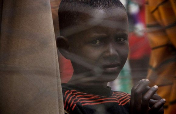 Somalie : un Blanc à la tête de la banque centrale ?