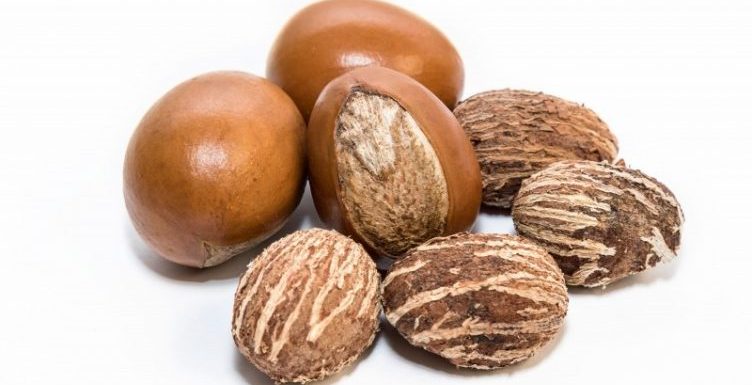 Ghana: la première plantation commerciale de Karité en 2019