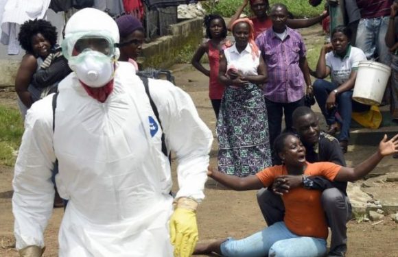 Togo/Fièvre Lassa: un second décès, la psychose gagne la population