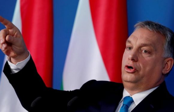 Orban combattra Macron, champion «des forces pro-immigration»