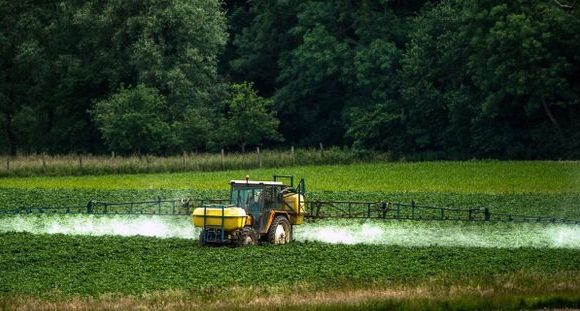 Pas de sortie totale du glyphosate en 3 ans : des ONG étrillent Emmanuel Macron
