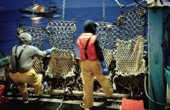 Pêcheurs, soignants, serveurs… les nouvelles victimes de la cocaïne