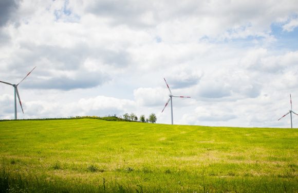 Les renouvelables font de l’ombre au charbon