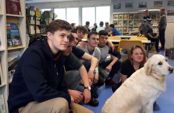 Ce lycée a embauché un chien « médiateur » pour éviter les conflits entre élèves
