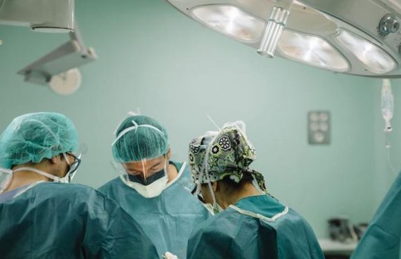 Après huit ans de hausse, le don d’organes a baissé en 2018