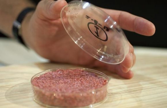 Paul Ariès : «Le véganisme est le cheval de Troie des biotechnologies alimentaires»