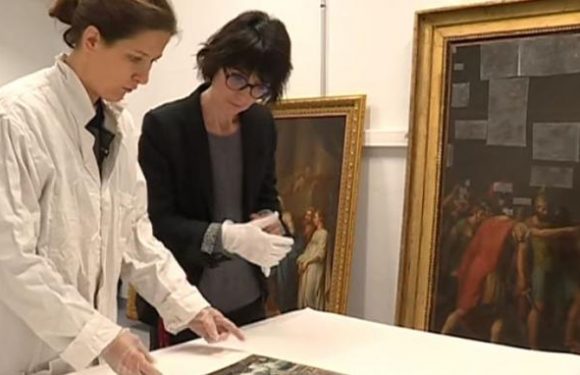 Le musée de Brest rouvre après l&rsquo;éradication d&rsquo;un «champignon mangeur de toiles»