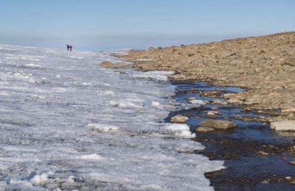 Retreating Ice Exposes Arctic Landscape Unseen for 120,000 Years