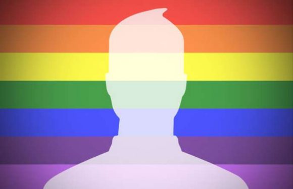 Plus de 200 plaintes déposées en même temps pour des propos homophobes sur Internet