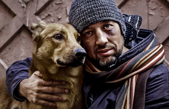 Sans-abri : Avignon va ouvrir un centre d’accueil accessible aux chiens