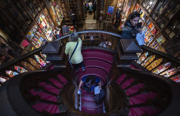 Lello, une librairie centenaire au coeur de Porto qui s’est sauvée avec l’aide de Harry Potter