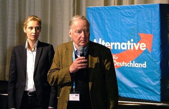 Allemagne: l’AfD n’exclut pas de sortir de l’U.E en dernier recours
