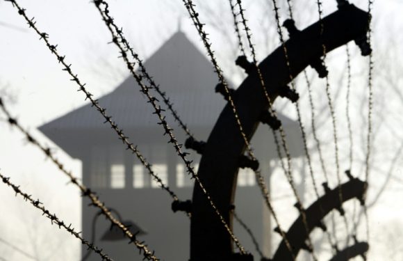 Les restes de victimes de la Shoah enterrés au Royaume-Uni