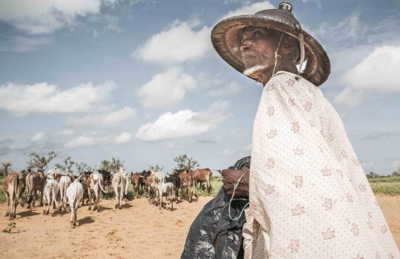 Au Mali, le nombre de déplacés internes a été multiplié par deux en six mois