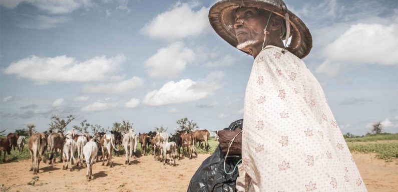 Au Mali, le nombre de déplacés internes a été multiplié par deux en six mois