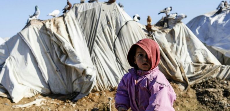 Conflit en Syrie: 15 enfants déplacés sont morts en raison du froid hivernal