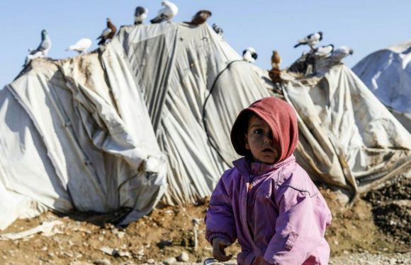 Conflit en Syrie: 15 enfants déplacés sont morts en raison du froid hivernal