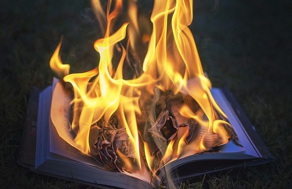 Un bibliothécaire a rassemblé 12.000 livres brûlés par les nazis