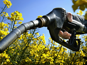 Biodiesel : une écologie d’intérêts particuliers ?
