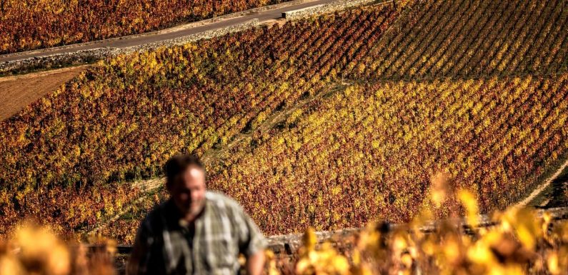 A Beaune, les pro-Macron comprennent la colère mais veulent qu’elle s’arrête